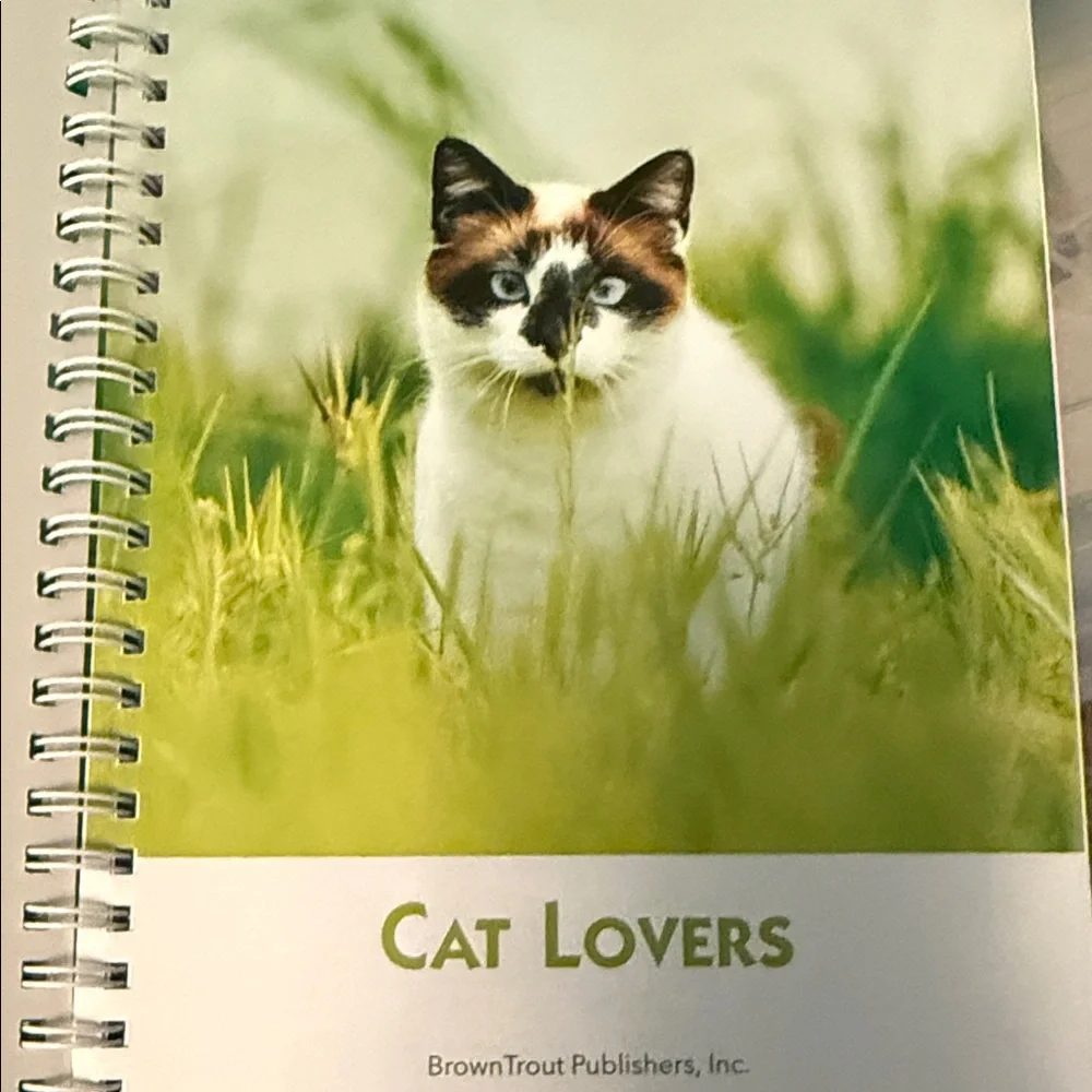 LAST CHANCE SALE- Cat Lovers 2026 Planner BNWT and Mug Set